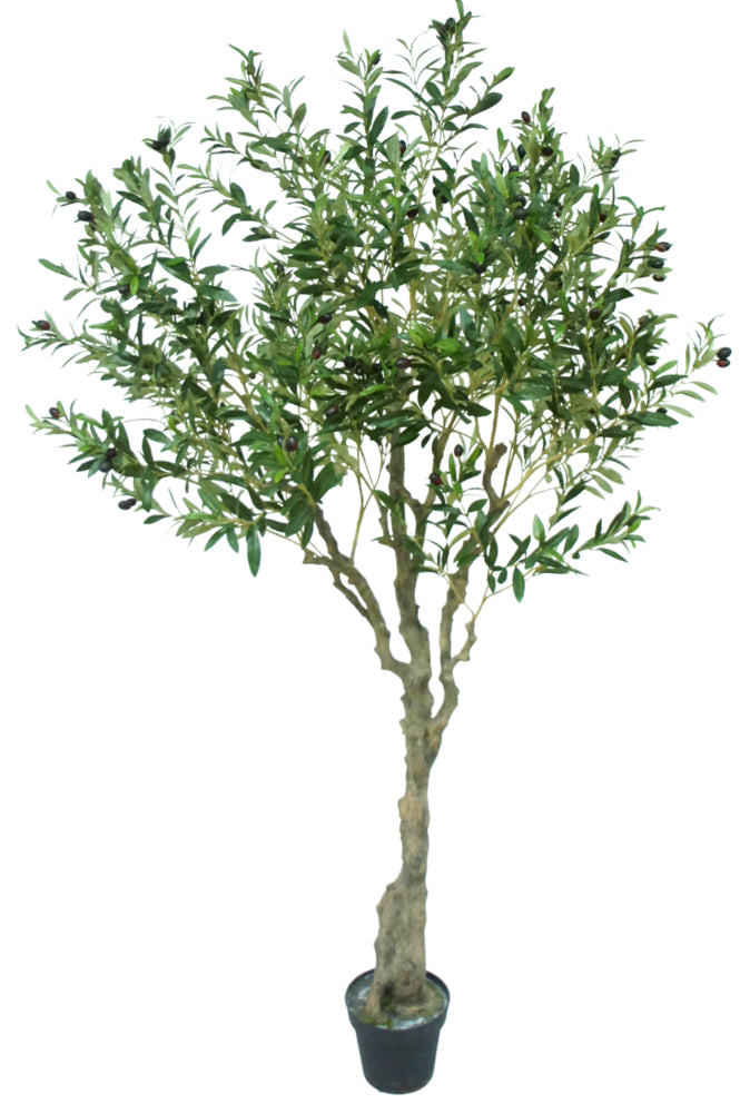 Art Olive Tree