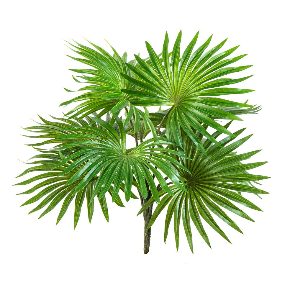 Fan Palm Bush UV