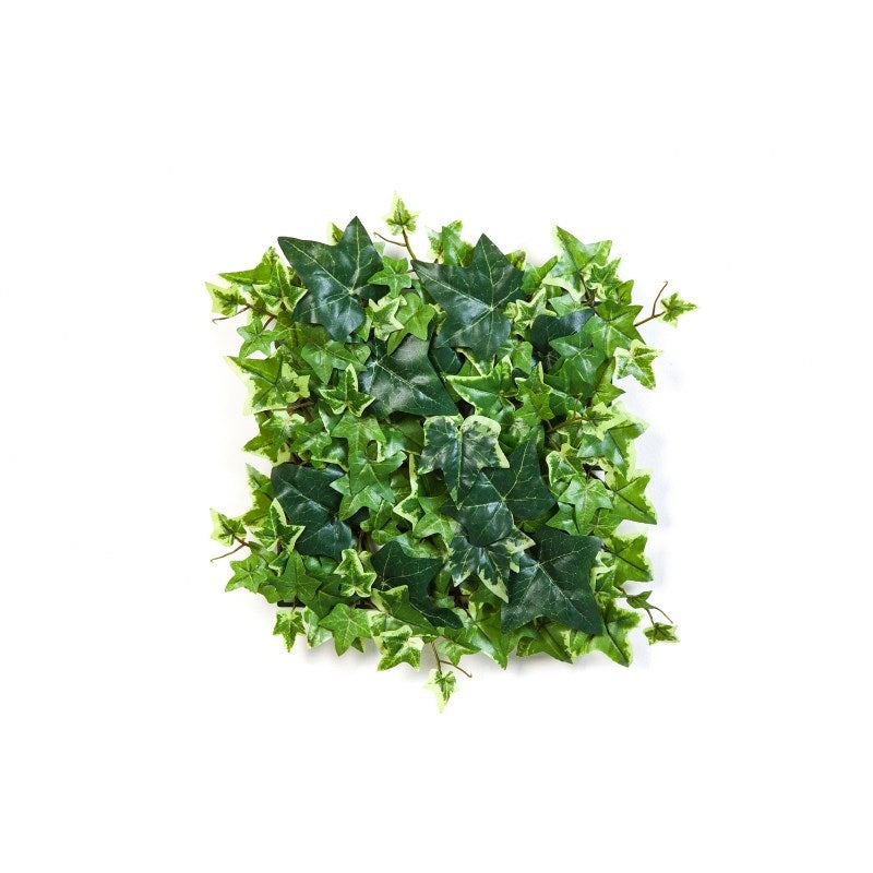 Variegated Ivy Mat - 30x30 cm - Fire retardant