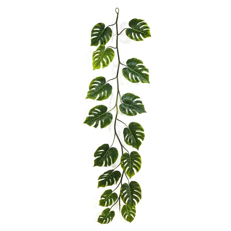 Split Philo Giant Garland hangplant