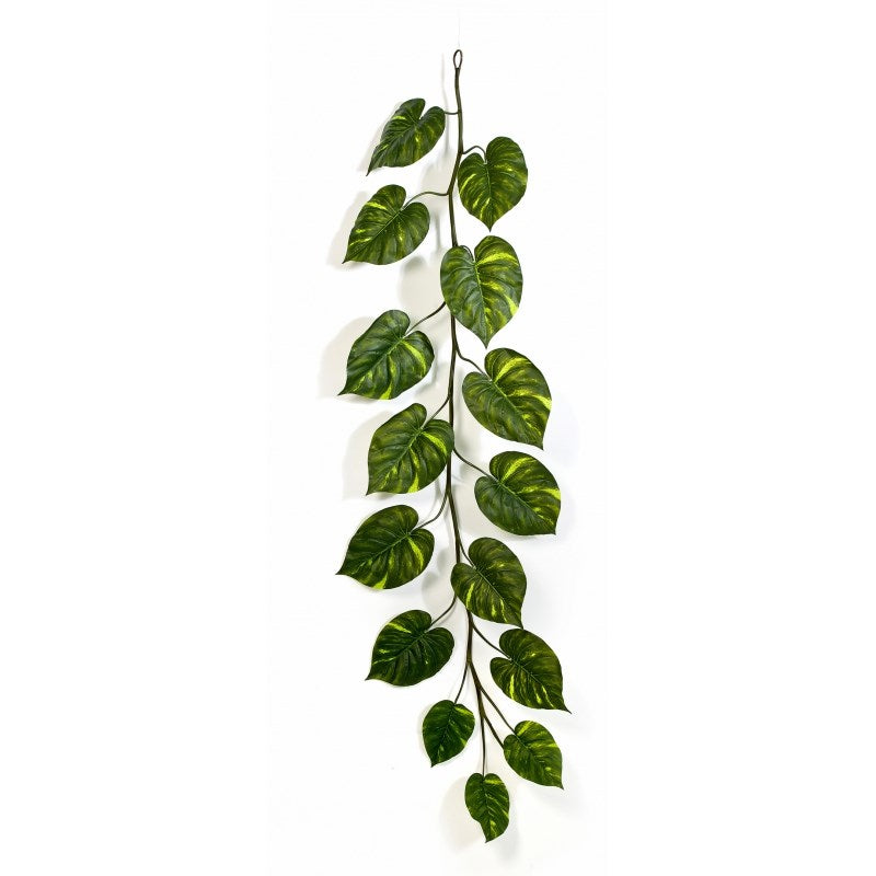 Pothos Giant Garland