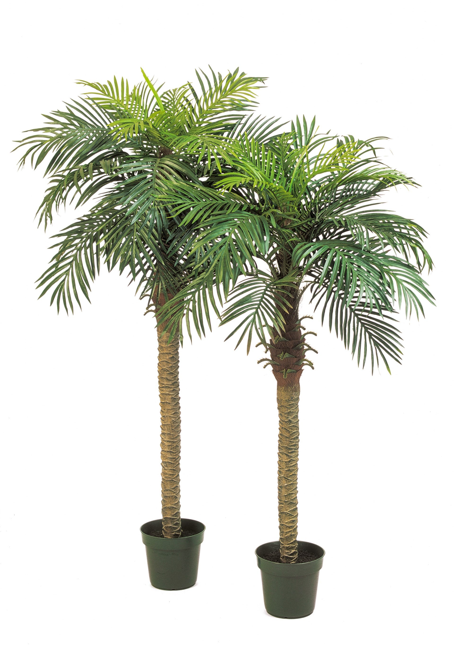 Phoenix artificial palm