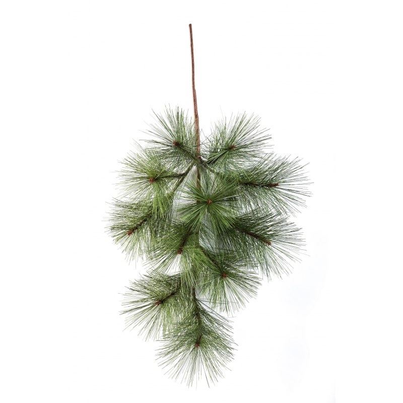 Needle Pine