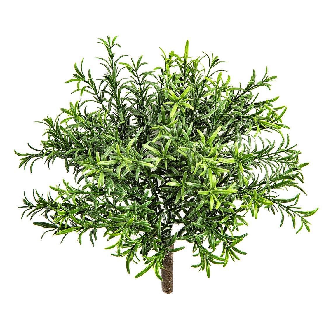 Rosemary Bush - Brandvertragend