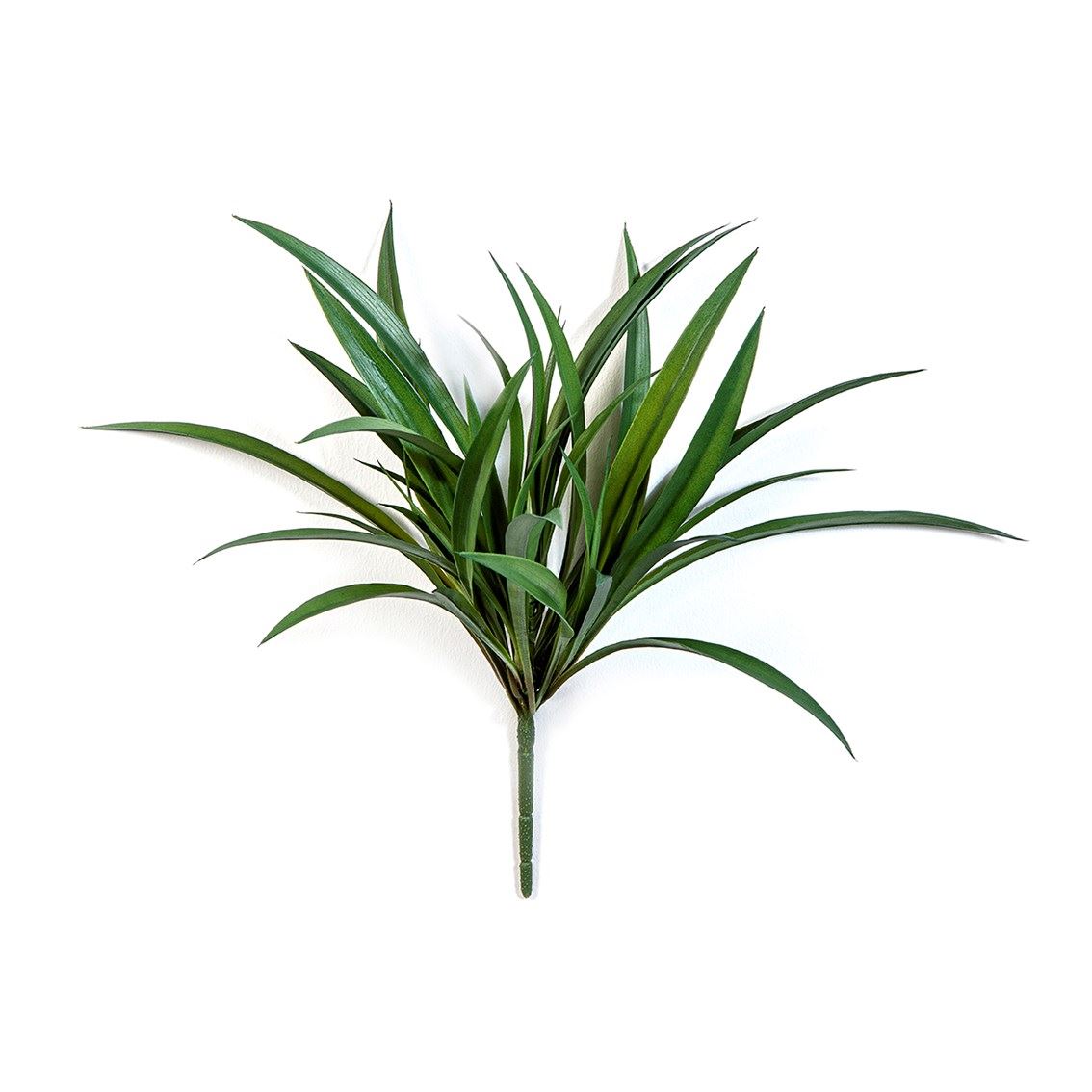 Liriope Grass Bunch - UV-werend