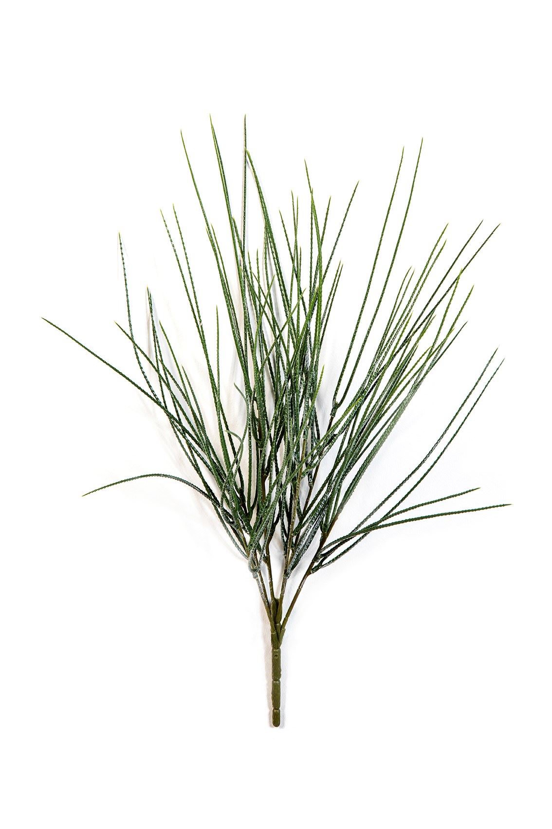 Canyon Grass Bunch - UV-werend