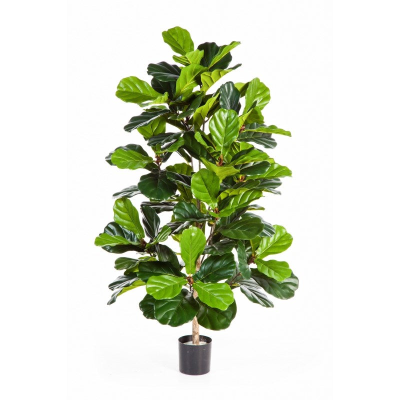 Ficus Lyrata Bush Kunstboom