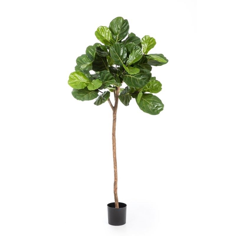 Ficus Lyrata Single kunstboom