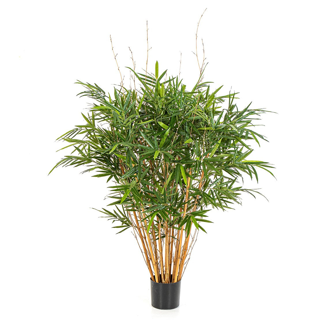 Royal Jamaica Bamboo artificial tree