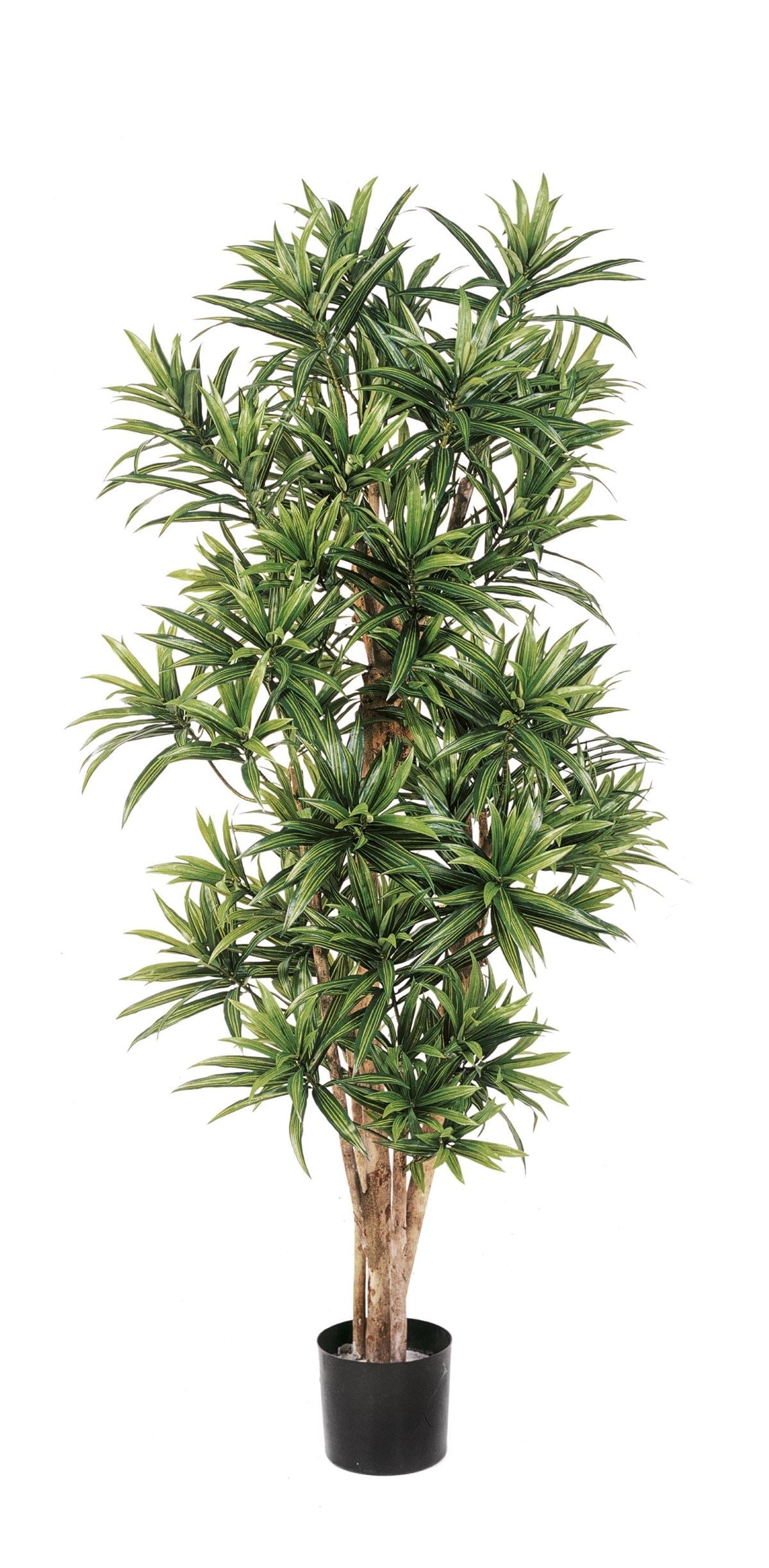 Dracaena Reflexa kunstboom