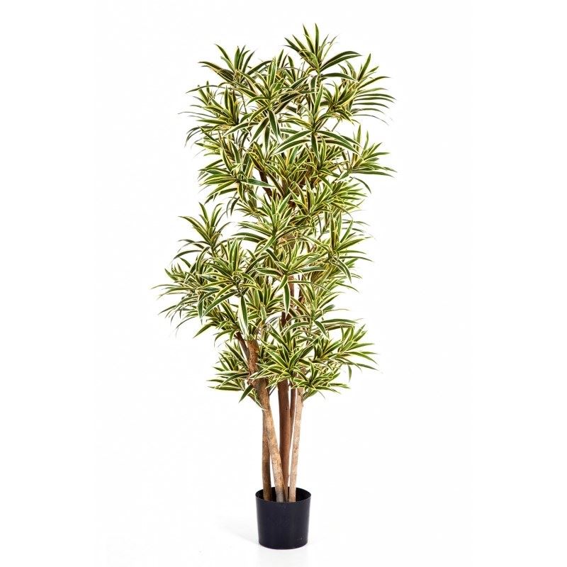 Dracaena Reflexa kunstboom - Brandvertragend