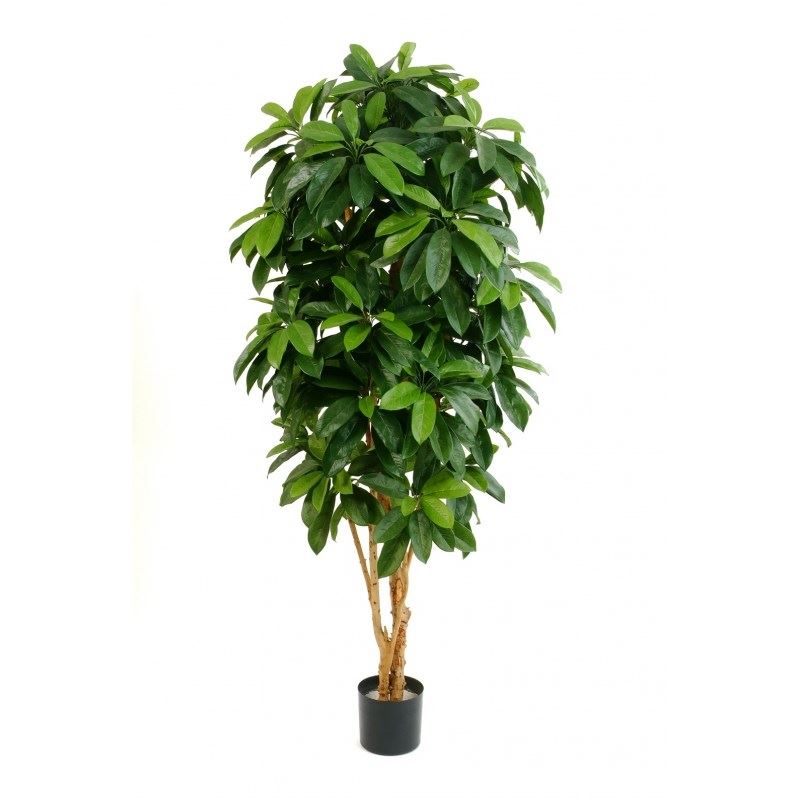 Lady Schefflera kunstboom - Brandvertragend