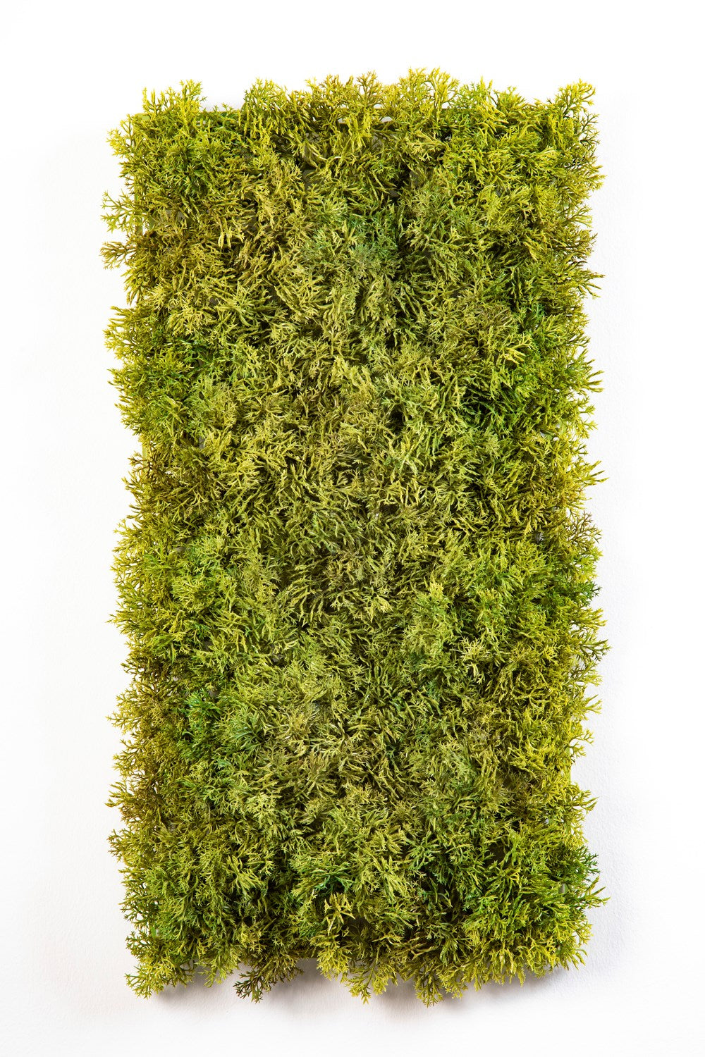 Mixed Moss Carped - 25x50 cm - Brandvertragend