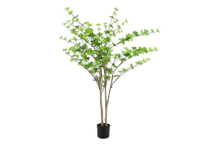 Kunstplant Dysosma pleiantha M groen- H150CM 804873 DS