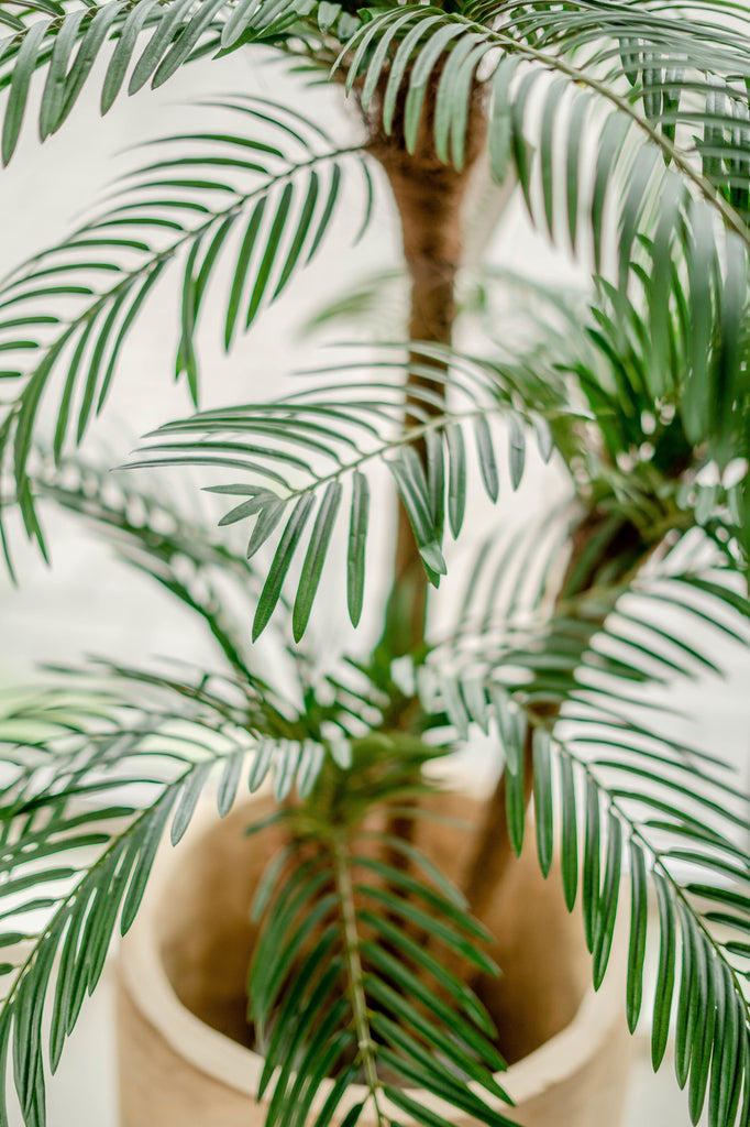 Cycas Kunstpalm Classic 135 cm