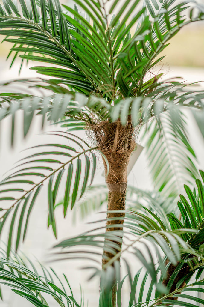 Cycas Kunstpalm Classic 135 cm