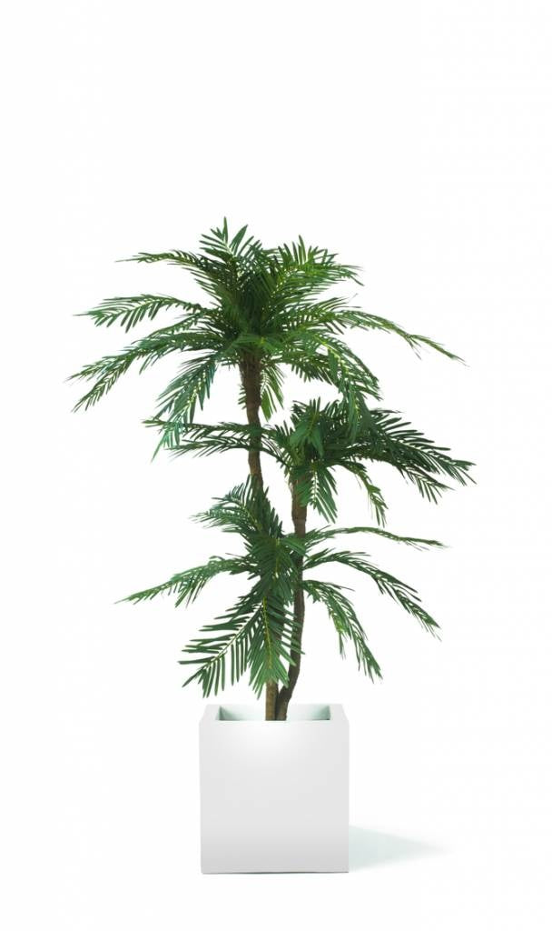 Cycas Kunstpalm Classic 165 cm