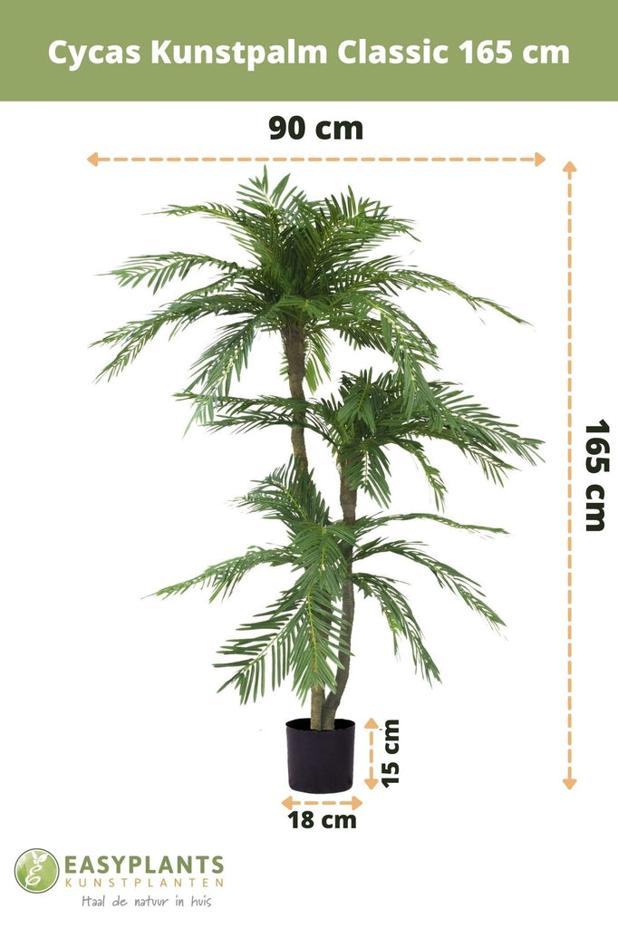 Cycas Kunstpalm Classic 165 cm