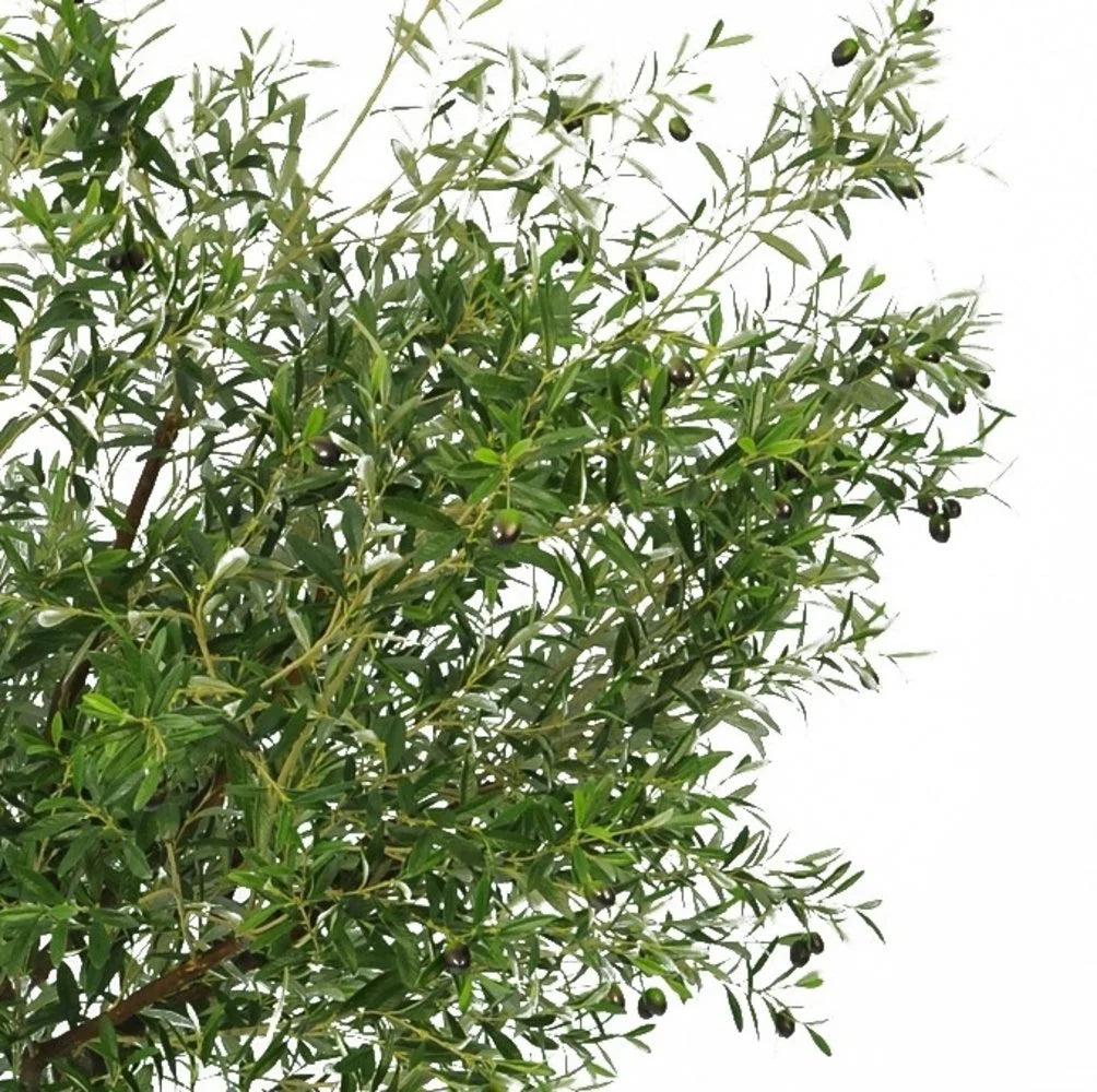 Artificial olive tree with olives