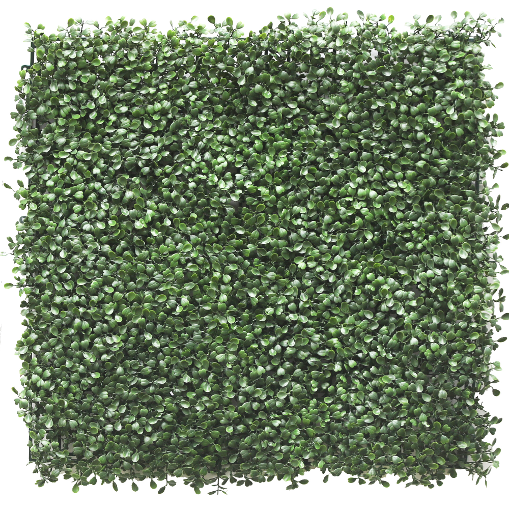 Kunsthaag Buxus 50x50 cm UV