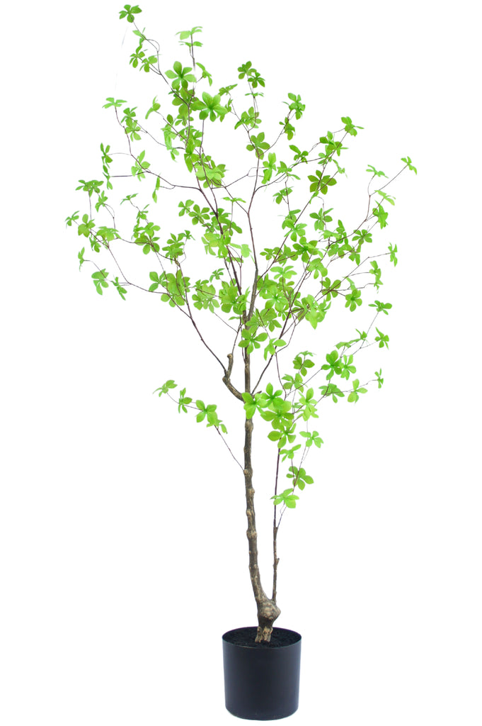 Kunstplant Enkianthus 150 cm