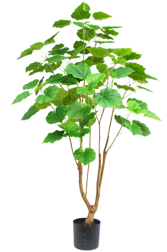 Kunstplant Ficus 150 cm