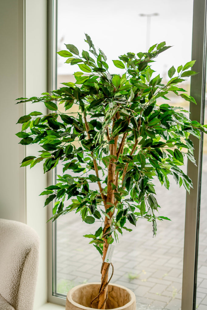 Kunstplant Ficus Groen 180 cm