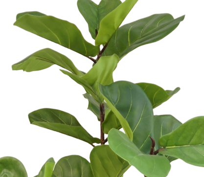 Kunstplant Ficus Tabaksplant 120 cm