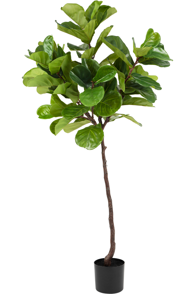 Kunstplant Ficus Tabaksplant 180 cm