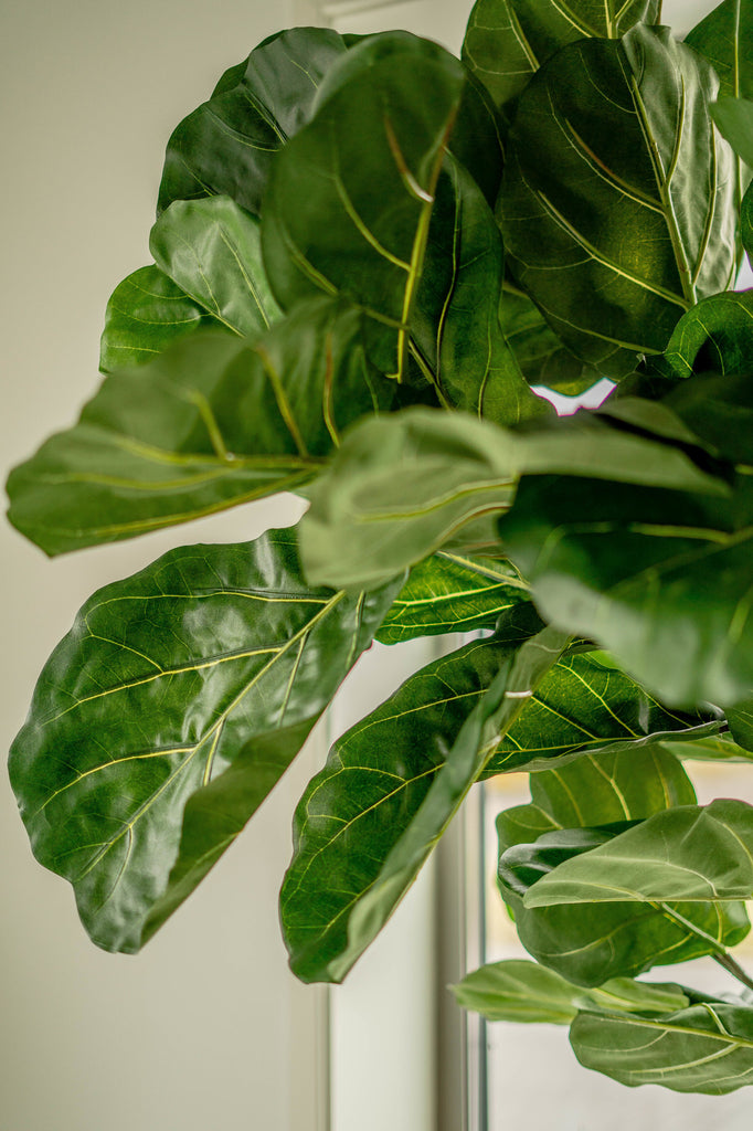 Kunstplant Fiddle Leaf 225 cm