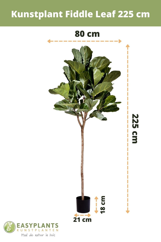 Kunstplant Fiddle Leaf 225 cm