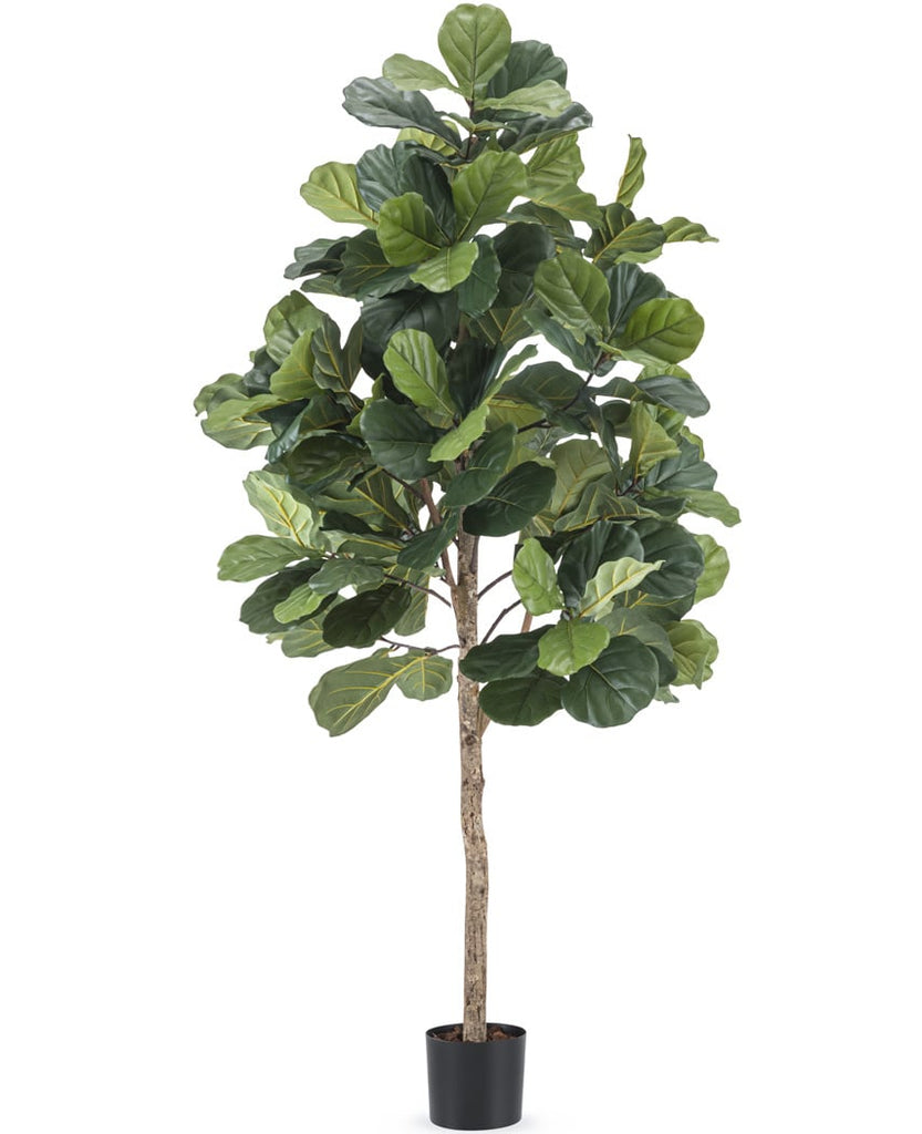 Kunstplant Fiddle Leaf Tree 180 cm