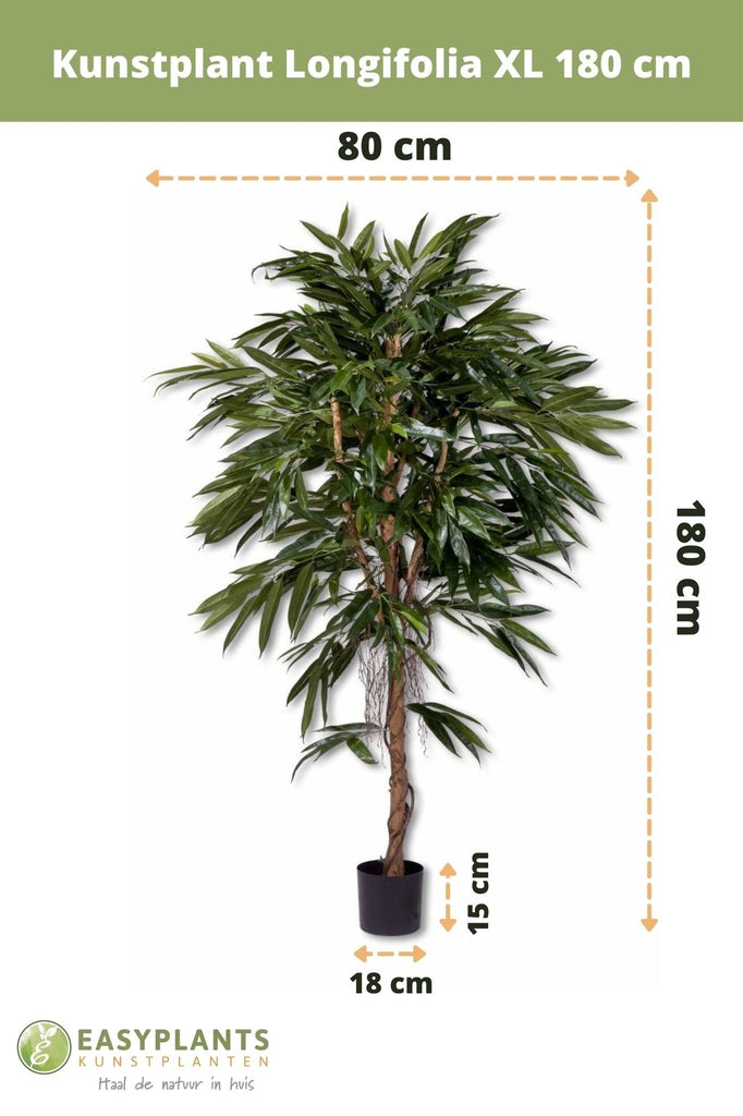 Kunstplant Longifolia Royaal 180 cm