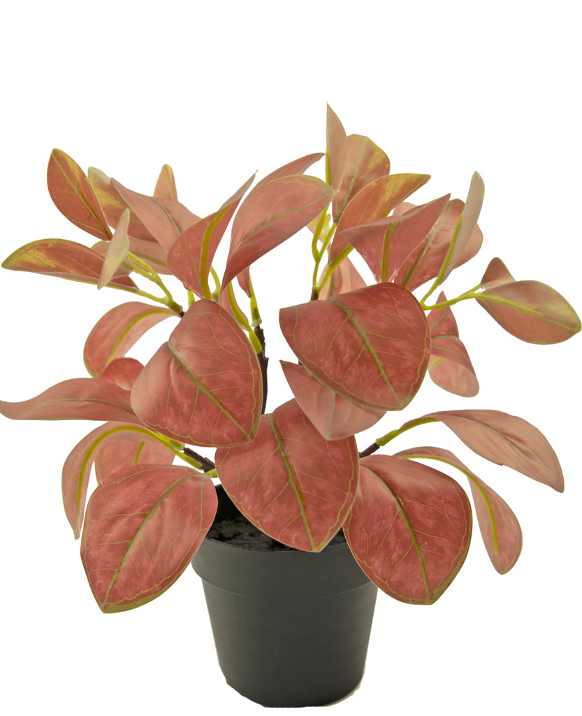 Kunstplant Rohdea 28 cm rood