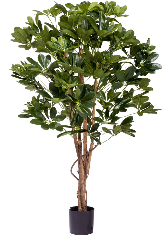 Kunstboom Schefflera 120 cm.