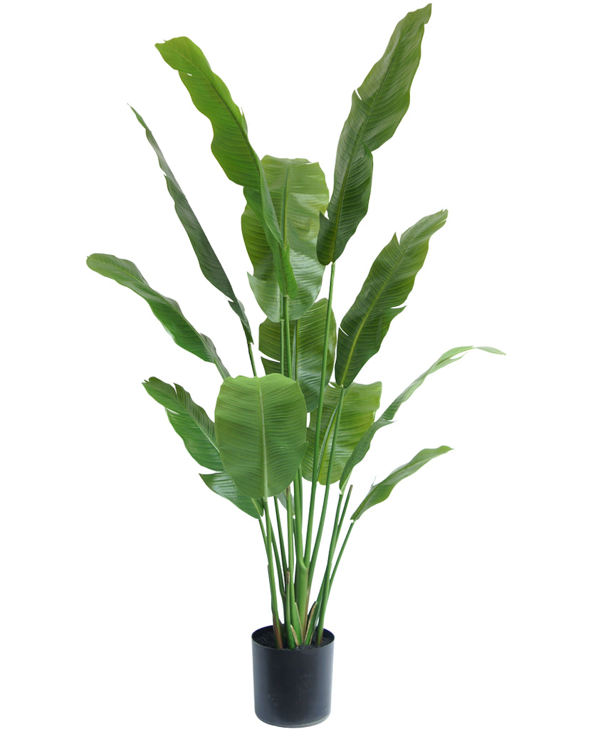 Kunstplant Strelitzia Nicolai 165 cm