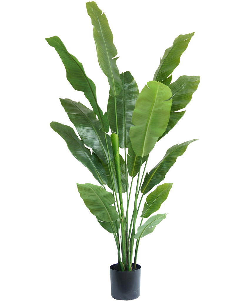 Kunstplant Strelitzia Nicolai 180 cm