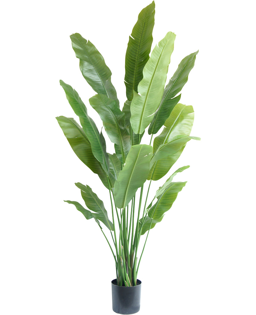 Kunstplant Strelitzia Nicolai 195 cm