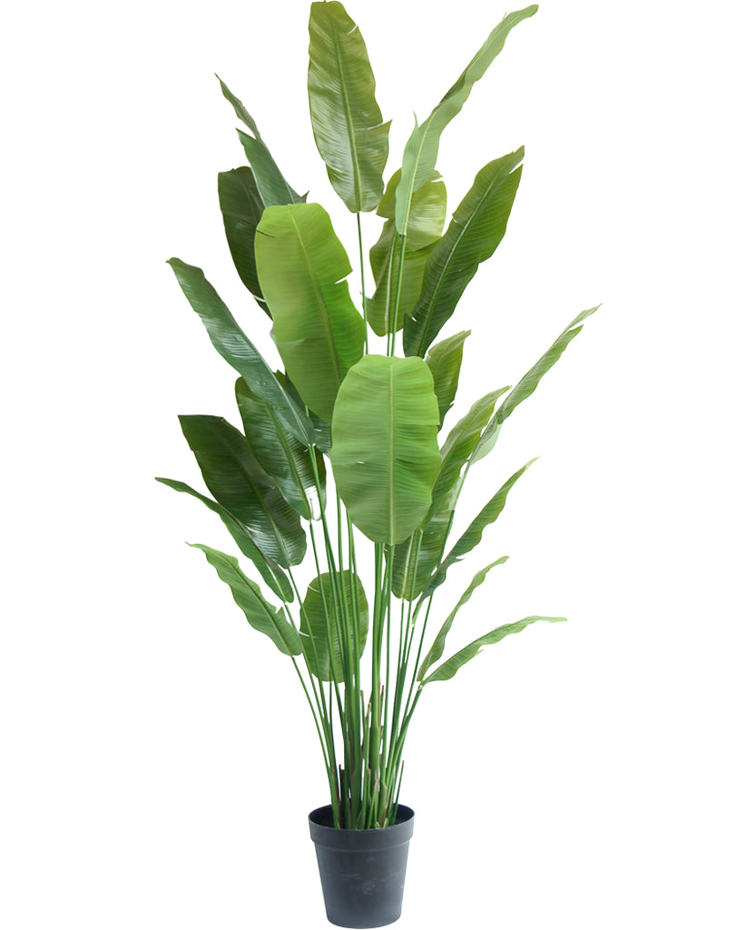 Kunstplant Strelitzia Nicolai 240 cm