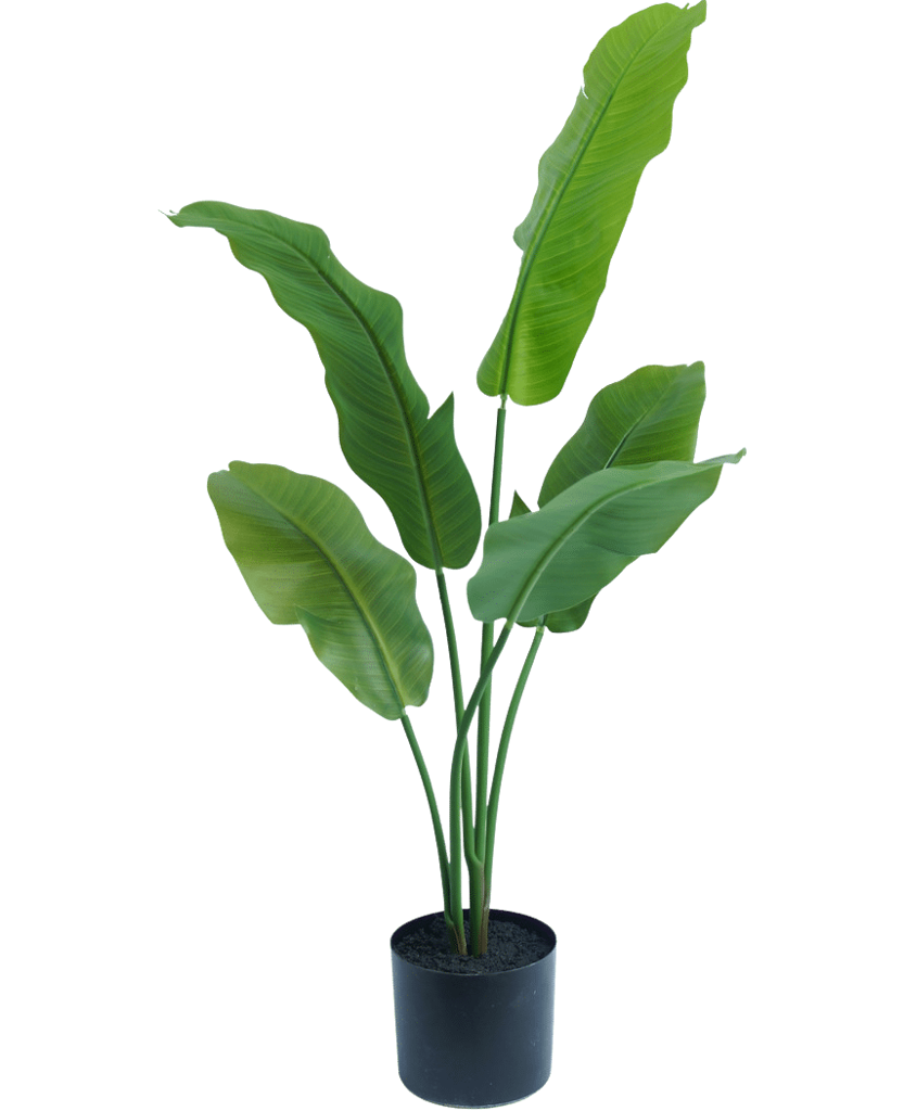 Kunstplant Strelitzia Nicolai 90 cm