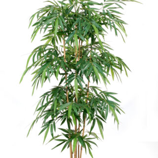Bamboe h180cm groen lrm6-9395