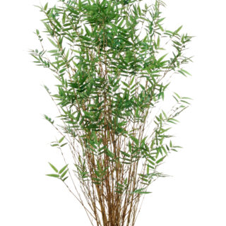 Bamboe oriental h130cm groen lrm6-9924